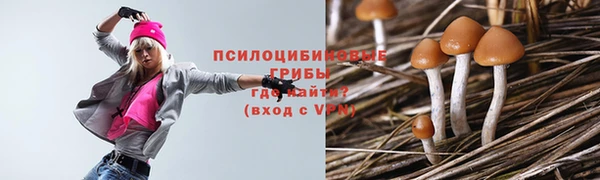 стаф Алзамай