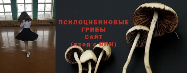 стаф Алзамай