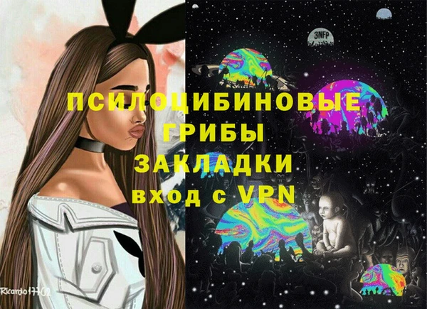 стаф Алзамай
