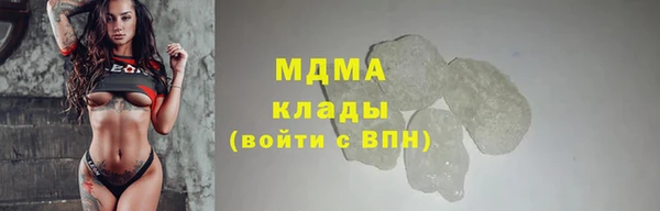 стаф Алзамай