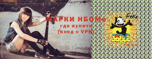 стаф Алзамай