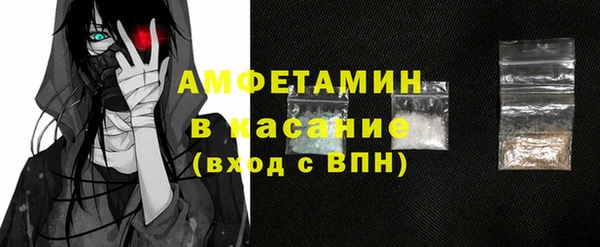 стаф Алзамай