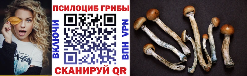 Псилоцибиновые грибы Magic Shrooms хочу наркоту Каргат